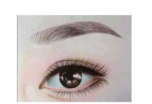 _pƤg(sh)֏(f)Ҫ