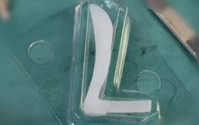 ¡Ǽw