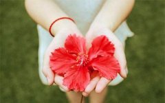 呼和浩特張高貴整形處女膜修復(fù)有什么優(yōu)勢呢?