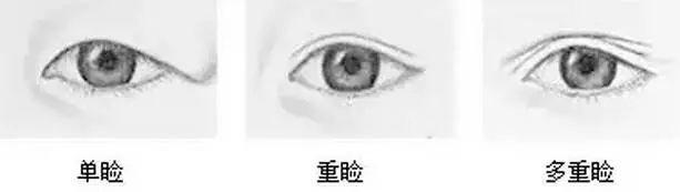 ͺļt(y)ԺpƤЧ