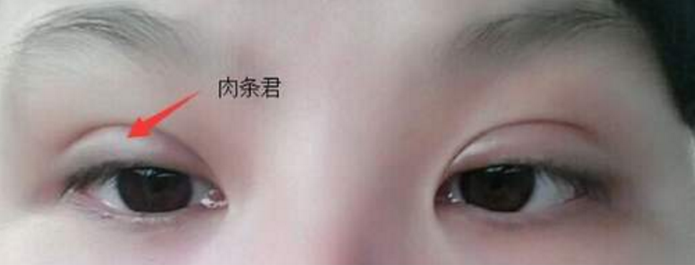 ͺpƤg(sh)ʲôF(xin)Dc
