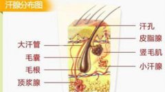呼和浩特市botox除腋臭效果如何?