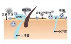 呼和浩特市注射botox除腋臭安不安全呢?